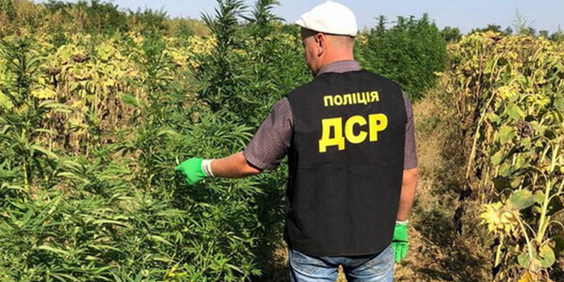 Катастрофи української наркополітики